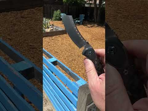 First Custom Hell Razor Chillin in the New Backyard     
