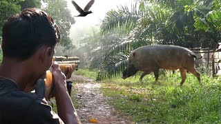 Full video: 4 days of struggle to hunt wild boar,pests of squirrels and wild birds,to survive