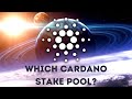 How To Choose The Best Cardano Stake Pool To Earn Passive Income