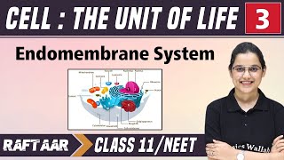 Famous Cell : The Unit of Life 03 || Endomembrane System || Class 11/NEET || RAFTAAR Net Worth