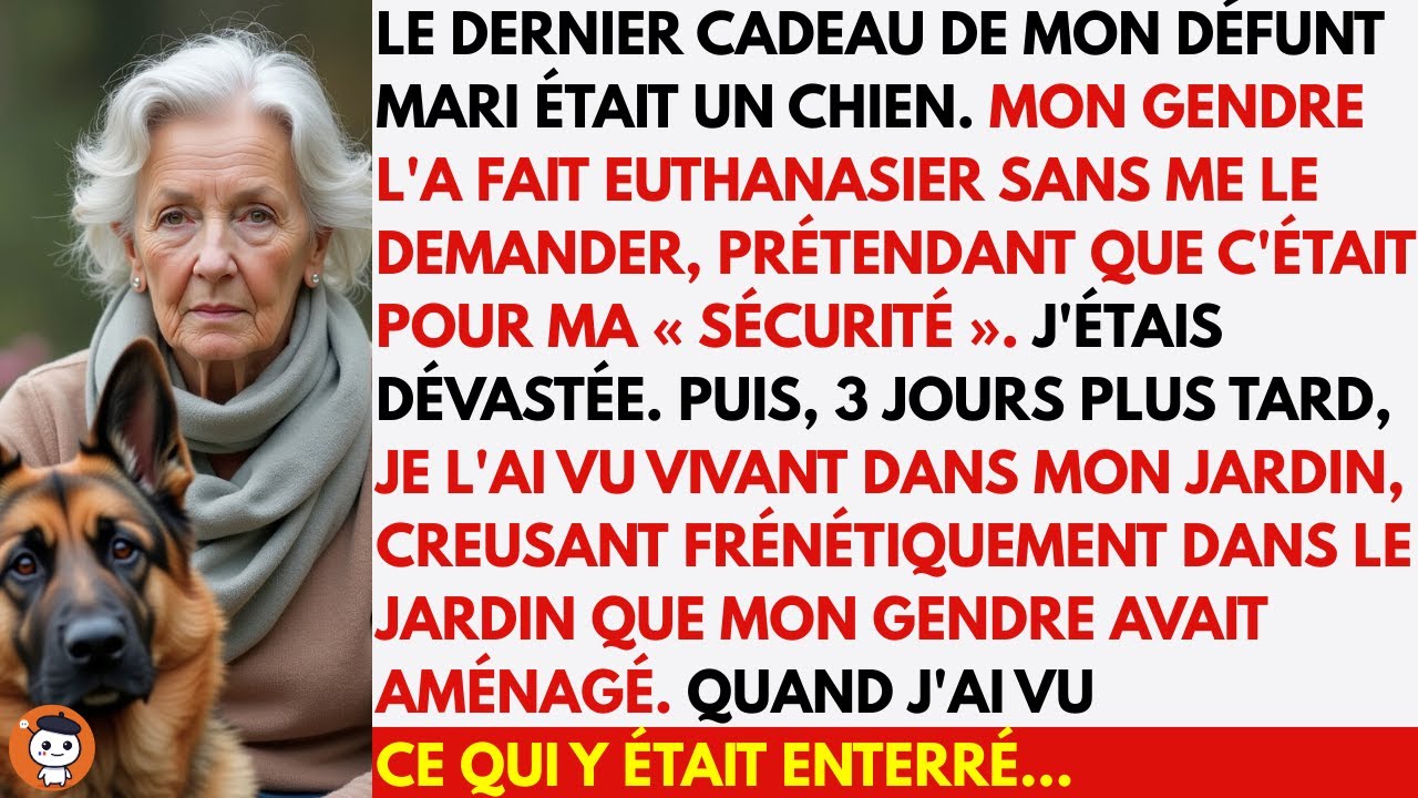 À 2 h du matin, trois jours après que mon gendre m’a annoncé qu’il avait fait euthanasier mon chien pour « ma sécurité », j’ai entendu des grattements dans mon jardin. Je suis sortie en chemise de...
