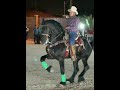 Mexico horse dancing 🇲🇽🐎🐴(A must watch)