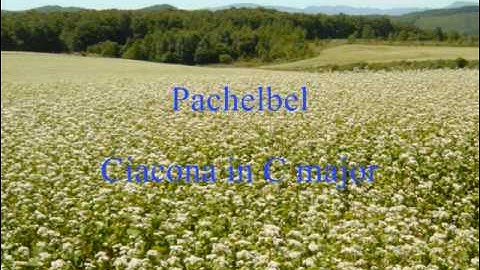 Pachelbel: Ciacona in C major for two violins and continuo
