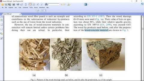 Simulation crack growth in concrete containing wood shavings as aggregates in Abaqus