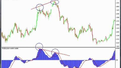 Forex how to use MACD indicator bearish divergence