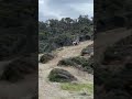 moto morini x cape Greece Ακρωτήρι Σιθωνίας