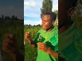 Kutana Na Aliye Mtaftia Kazi Delila Aliye Mnyoa Samsoni Comedy Middlesimba Duet 