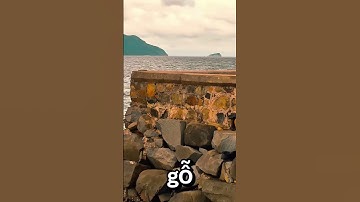 Cầu tàu 914 - nơi quá khứ vẫn lặng lẽ kể chuyện về niềm tin và hy sinh