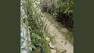 In the dark of night