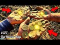 OMG!! Map Leads Treasure Hunters to RICH Site LOADED with OLD COINS