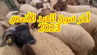 إرتفاع أسعار أضحية العيد في سوق عين شكاك إقليم صفرو 28/06/203.أخر سوق للعيد الأضحى 2023 عواشر مباركة