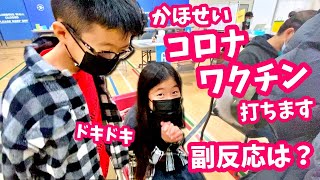 かほせい コロナワクチン打ちます ドキドキ 副反応は？翌朝の様子