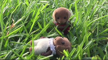 The Kaliko 3plets Season 3 Finale e322