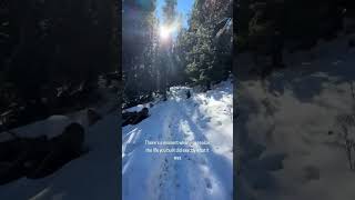 Over the last five years, I've had a front-row seat to this shift