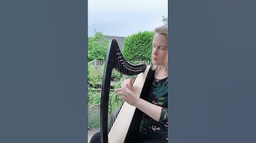 How does this harp sound? Derwent Discovery 16 harp  #harpmusic #harps #leverharp