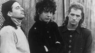 Soda Stereo Gira Animal Venezuela 91 (Audio Consola).