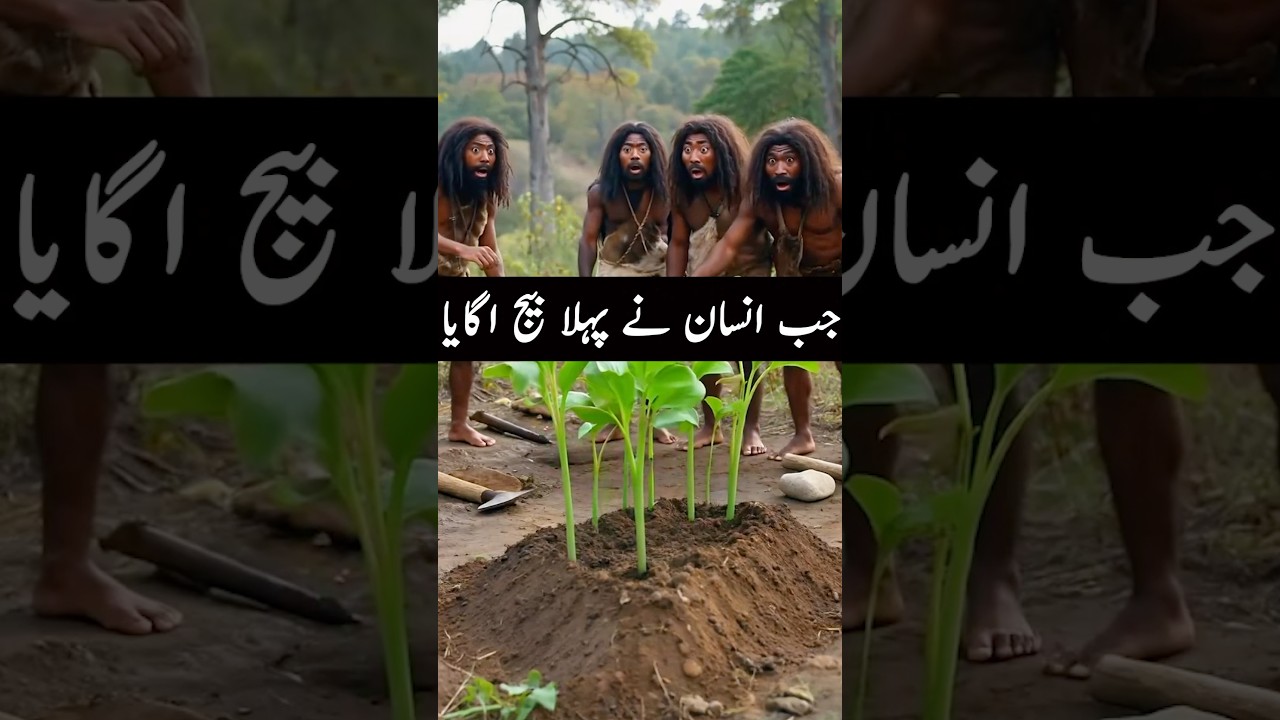 Agriculture invention by early human 