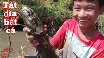 Tát đìa bắt cá đồng vào cuối vụ mùa nước nổi 2 | miền tây dân dã | # 181