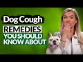 Hasslefree and natural dog home cough remedies youve got to take note of these