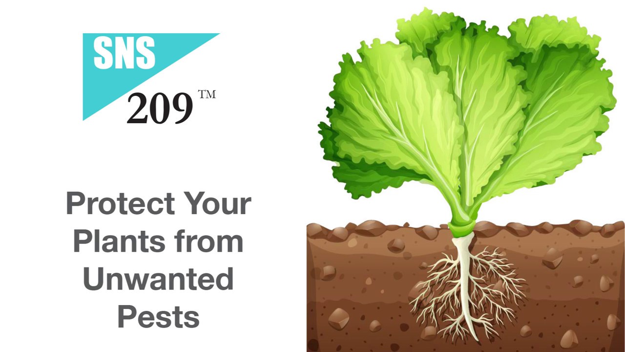 SNS 209 Start You Grow Off Right