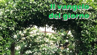 Vangelo Del Giorno Mercoledi 8 Giugno 2022