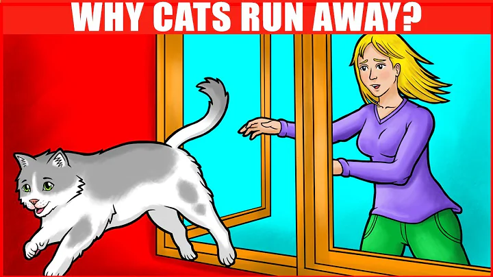 Why Cats Leave and Never Return? - DayDayNews