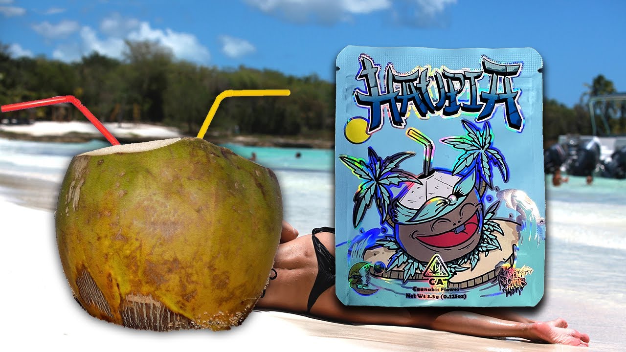 Shopping Carts 415 x Mount Burnin 415 - TIFFANY HAUPIA