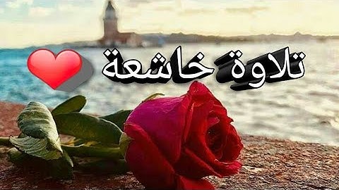 قران كريم بصوت -عبدالرحمن مسعد ❤حالات واتس اب دينيه