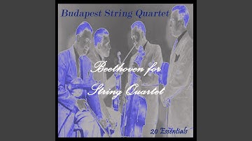 String Quartet No. 6, In B-Flat Major, Op. 18: I. Allegro Con Brio