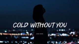 Vahid Beats - Cold Without You (Original Mix)