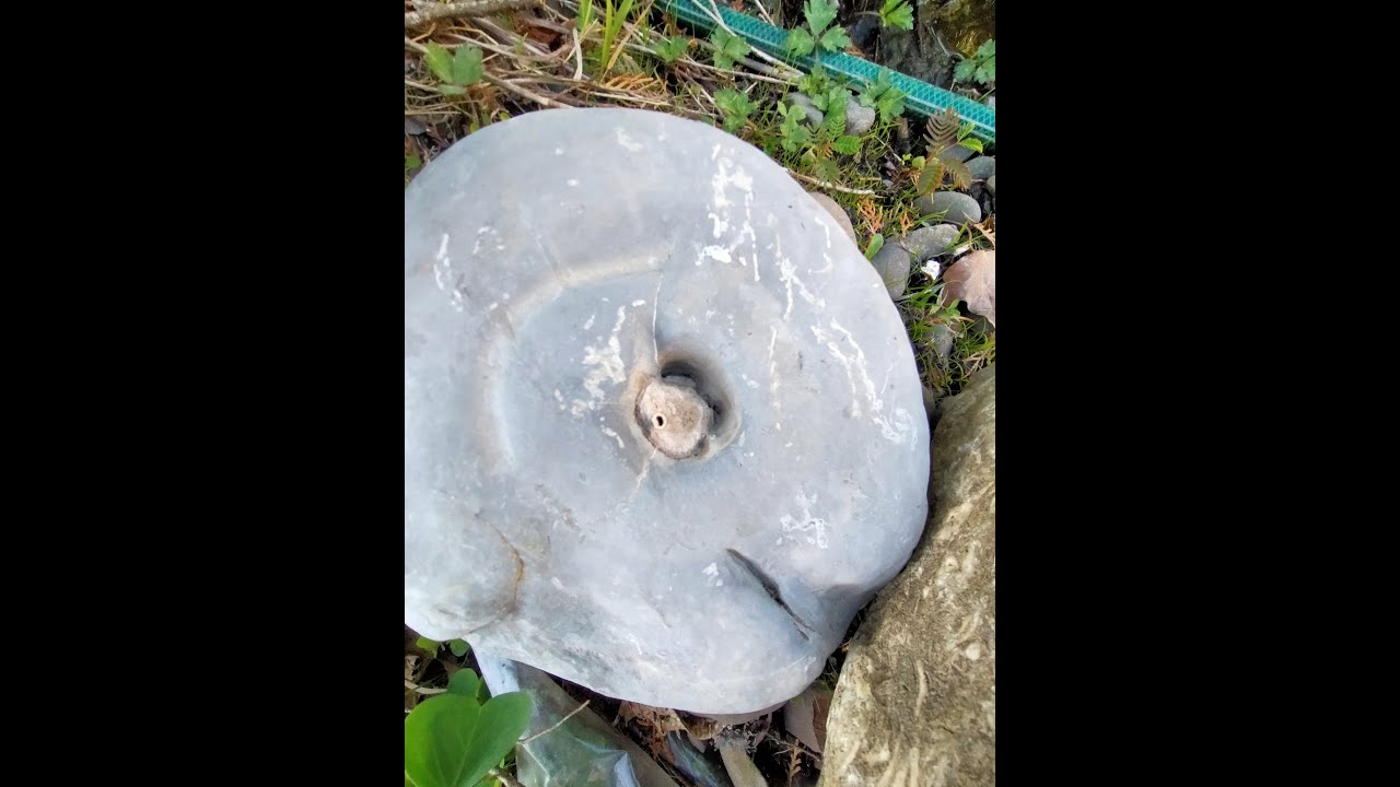 Fossil River