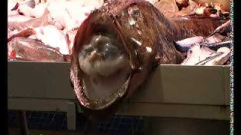 Cork City Glanmire Coder Dojo