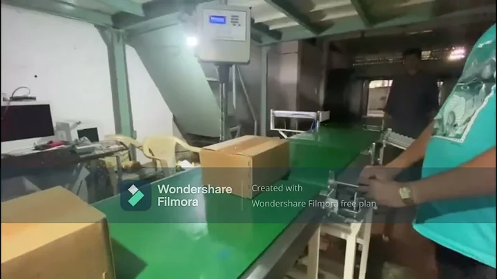 Online check weighing systems