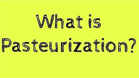 What is Pasteurization? | Things to Know |