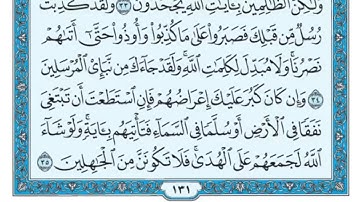 من الآية 1 إلى الآية 94 من سورة الأنعام للقارئ #قاسم_شبلي