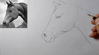 Como desenhar um cavalo FACIL passo a passo para crianças e