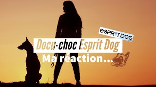 Documentaire choc sur le malinois d'Esprit Dog : ma réaction...