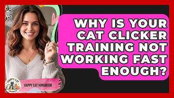 Why Is Your Cat Clicker Training Not Working Fast Enough? - Happy Cat Handbook