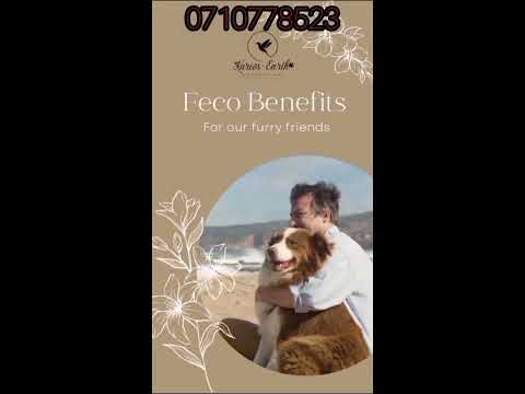 CBD FECO OIL FOR ANIMALS