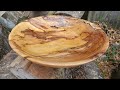 Spalted Very Punky Sycamore Bowl