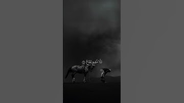 القران الكريم.  راحه نفسيه. اكتب شي تؤجر عليه #اكسبلور