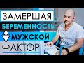 Неудачное ЭКО или замершая беременность. Что делать мужчине, как лечить и какие анализы сдать?