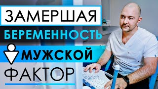 Неудачное Эко Или Замершая Беременность. Что Делать Мужчине, Как Лечить И Какие Анализы Сдать?