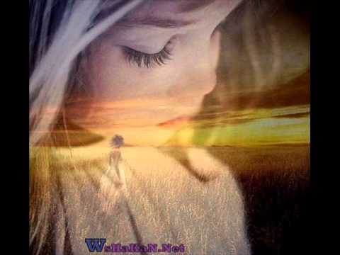 Seyda 2010 Tu Nizani