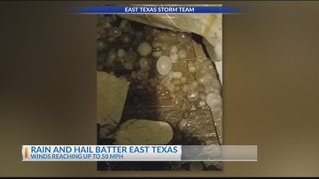 Trees down, power lines damaged across East Texas after overnight storms