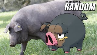 Animales de España en Pokemon Scarlet &amp; Violet