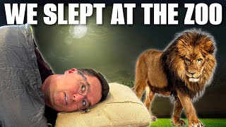 Sleeping at the San Deigo Safari Park. Is it Worth it?