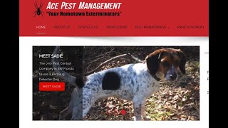 Ace Pest Management