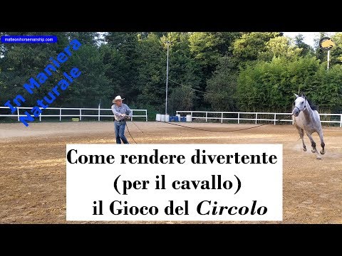 Video: Un capodanno: attività divertenti da fare con il tuo cavallo