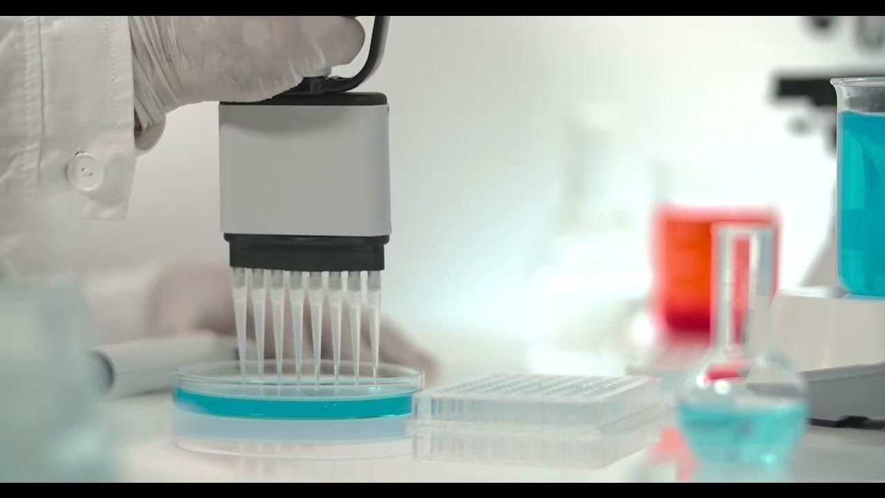 Elisa protocol with multi channel pipetting YouTube